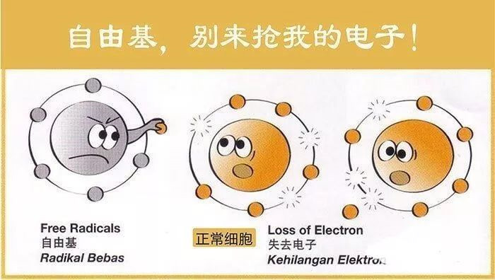 为什么癌症患者必须补肽？