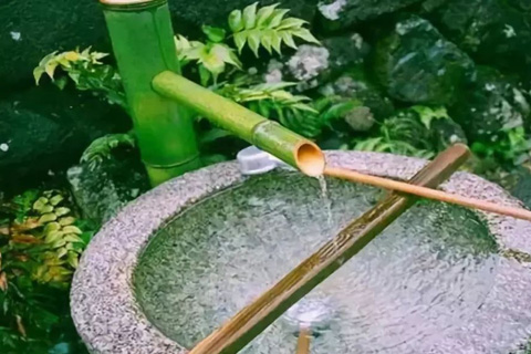小分子肽是生命奇迹在身体中的秘密角色