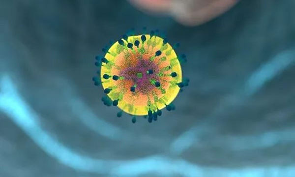 小分子肽：高血压治疗的新视角