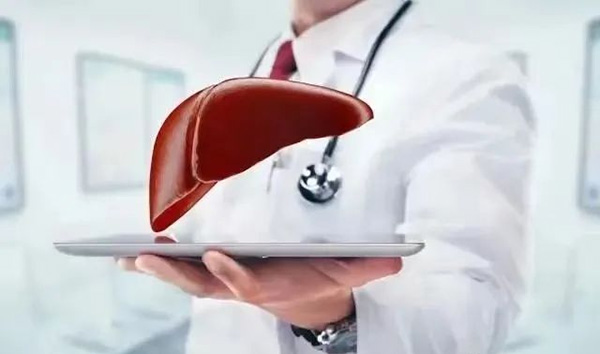 活性肽保护肝脏免受损伤，现代健康新视角